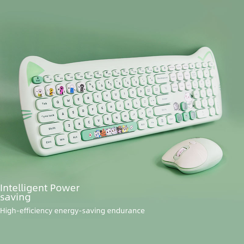 Punk Chic Wireless Keyboard & Mouse